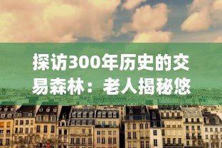 探访300年历史的交易森林：老人揭秘悠久的林业贸易传统 v6.9.0下载