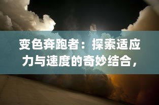 变色奔跑者：探索适应力与速度的奇妙结合，奔向人生不同色彩的马拉松赛事