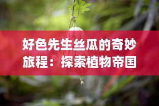 好色先生丝瓜的奇妙旅程：探索植物帝国的多彩魅力与神秘内在世界