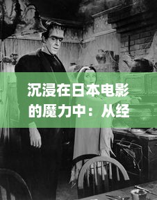 沉浸在日本电影的魔力中：从经典历史剧至现代浪漫喜剧的一曲二曲三曲