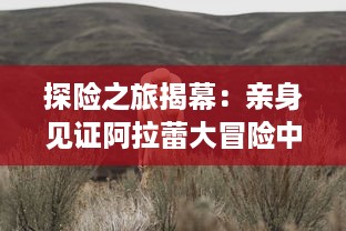 探险之旅揭幕：亲身见证阿拉蕾大冒险中丰富多彩的奇遇与成长故事