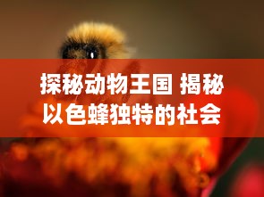 探秘动物王国 揭秘以色蜂独特的社会行为与影响力：了解它们如何通过视频传播改变生态系统