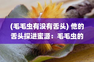 (毛毛虫有没有舌头) 他的舌头探进蜜源：毛毛虫的甜蜜诱惑与悠久寓言的对话