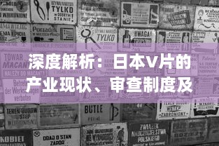 深度解析：日本V片的产业现状、审查制度及其对全球成人影视市场的影响 v4.4.8下载