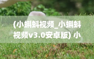 (小蝌蚪视频_小蝌蚪视频v3.0安卓版) 小蝌蚪免费正版安装 完美解决观看障碍，畅享无限视频资源。