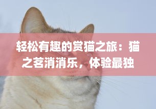 轻松有趣的赏猫之旅：猫之茗消消乐，体验最独特的消除游戏乐趣