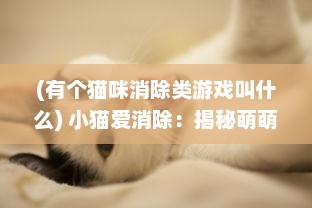 (有个猫咪消除类游戏叫什么) 小猫爱消除：揭秘萌萌小猫的智力挑战与消除乐趣