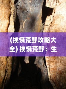 (挨饿荒野攻略大全) 挨饿荒野：生存危机下的绝境挣扎与无尽希望的探索历程