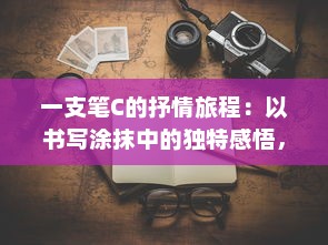 一支笔C的抒情旅程：以书写涂抹中的独特感悟，哭泣自身的生命波折与神秘使命 v7.2.9下载