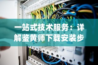 一站式技术服务：详解鉴黄师下载安装步骤及如何高效使用指南 v5.9.0下载