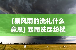 (暴风雨的洗礼什么意思) 暴雨洗尽纷扰：风暴幻想中的勇者传说与幻想世界的重构