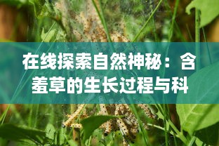 在线探索自然神秘：含羞草的生长过程与科学解读 v1.3.6下载