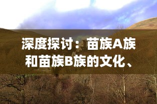 深度探讨：苗族A族和苗族B族的文化、历史和生活习惯有哪些主要区别