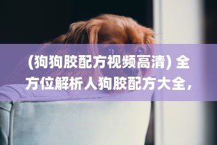 (狗狗胶配方视频高清) 全方位解析人狗胶配方大全，狗狗播放下的细致养护与健康科学