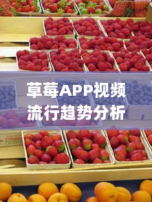 草莓APP视频流行趋势分析：解锁2021年最新视频风格及用户喜好深度解析 v2.5.3下载