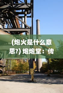 (炮火是什么意思?) 炮炮堂：传承火炮文化，体验炮制工艺之旅的专属境地