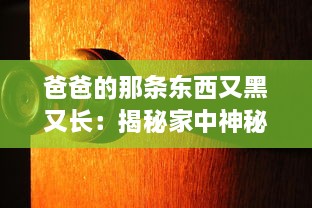 爸爸的那条东西又黑又长：揭秘家中神秘角落中的老式钓鱼竿传承故事 v7.6.0下载