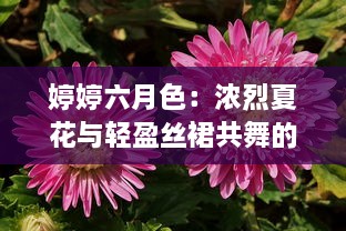 婷婷六月色：浓烈夏花与轻盈丝裙共舞的浪漫季节 v8.8.9下载