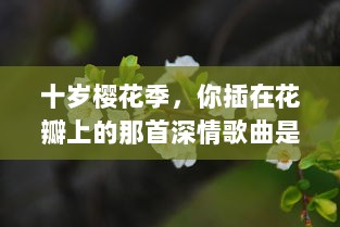 十岁樱花季，你插在花瓣上的那首深情歌曲是什么：一段青春记忆的音符流转