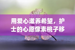 用爱心滋养希望，护士的心愿像素桃子移植赋予生命新的可能性