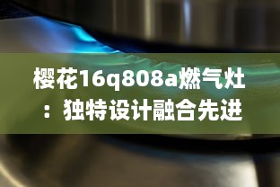 樱花16q808a燃气灶：独特设计融合先进科技，让烹饪过程更加便捷流畅