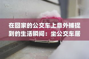 在回家的公交车上意外捕捉到的生活瞬间：坐公交车居然为我带来了两幅富有人情味的图片 v4.9.7下载