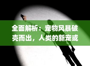 全面解析：宠物风暴破壳而出，人类的新宠或潜在威胁，如何解读这场全球性的养宠热潮？