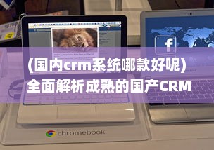 (国内crm系统哪款好呢) 全面解析成熟的国产CRM系统：技术、功能与未来发展趋势