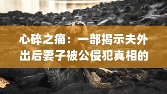 心碎之痛：一部揭示夫外出后妻子被公侵犯真相的悲剧电影中文字幕版