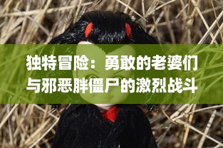 独特冒险：勇敢的老婆们与邪恶胖僵尸的激烈战斗