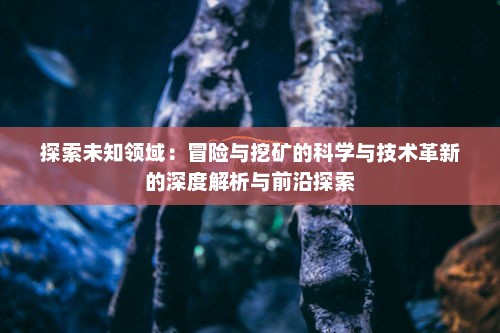 探索未知领域：冒险与挖矿的科学与技术革新的深度解析与前沿探索