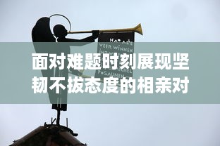 面对难题时刻展现坚韧不拔态度的相亲对象：一位身处强硬问题中却依然锐意进取的学生