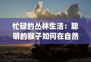 忙碌的丛林生活：聪明的猴子如何在自然与生存竞争中保持不停歇