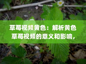 草莓视频黄色：解析黄色草莓视频的意义和影响，及其在娱乐行业中的独特地位