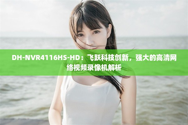 DH-NVR4116HS-HD：飞跃科技创新，强大的高清网络视频录像机解析