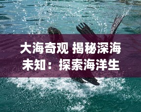 大海奇观 揭秘深海未知：探索海洋生物多样性与神秘生态系统的启示