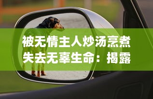 被无情主人炒汤烹煮失去无辜生命：揭露家庭虐待下小狗的无奈与挣扎的小说