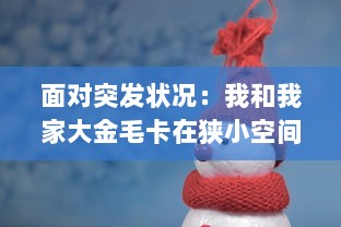 面对突发状况：我和我家大金毛卡在狭小空间内的自救心得与实践策略分享