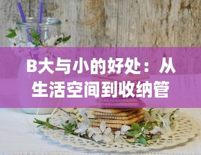 B大与小的好处：从生活空间到收纳管理，如何巧妙运用物品大小带来的优势