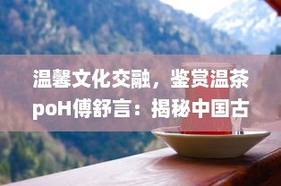 温馨文化交融，鉴赏温茶poH傅舒言：揭秘中国古代茶文化沿革与现代演变