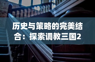 历史与策略的完美结合：探索调教三国2 中的卓越领导力和精彩战术布局