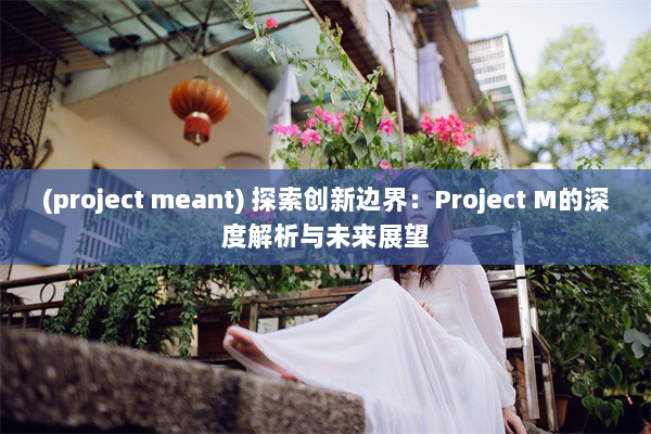 (project meant) 探索创新边界：Project M的深度解析与未来展望