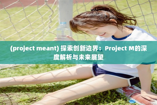 (project meant) 探索创新边界：Project M的深度解析与未来展望