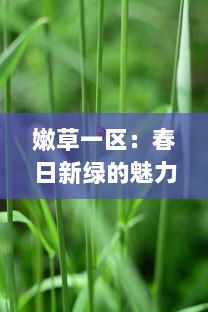 嫩草一区：春日新绿的魅力与生态保护的重要性