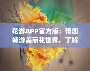 花游APP官方版：带您畅游美丽花世界，了解独家花卉知识  ，探索未知的花卉秘籍，分享独到的养花技巧。