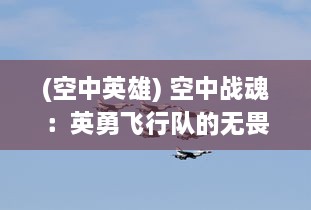 (空中英雄) 空中战魂：英勇飞行队的无畏翱翔与壮志凌云的生死激战