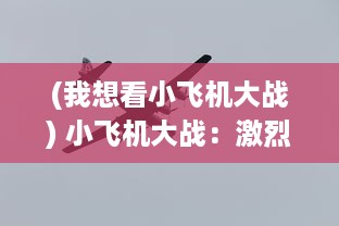 (我想看小飞机大战) 小飞机大战：激烈空战中的策略与技巧，绽放未知的飞行梦想