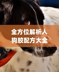 全方位解析人狗胶配方大全，狗狗播放下的细致养护与健康科学 v9.4.2下载