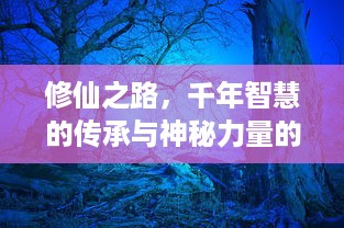 修仙之路，千年智慧的传承与神秘力量的探索