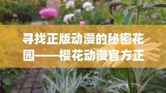 寻找正版动漫的秘密花园——樱花动漫官方正版入口介绍与指南